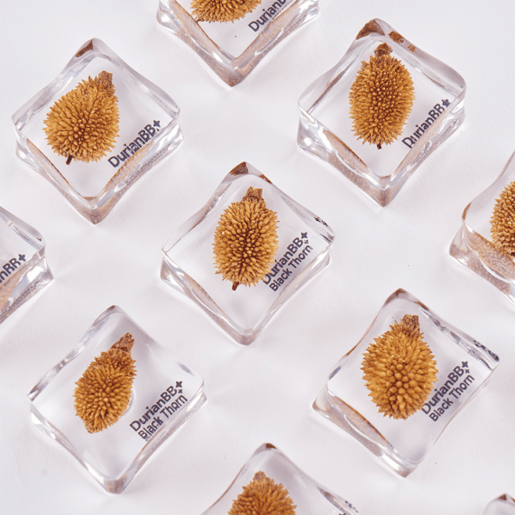 DurianBB Forever Frozen Cube